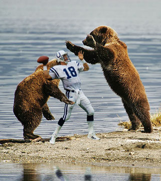 Sacked!